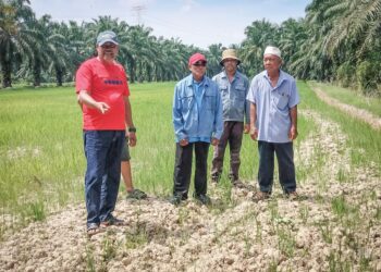 SEKUMPULAN pesawah di Bagan Serai menunjukkan tanah sawah yang kering berikutan masalah bekalan air disebabkan Tasik Bukit Merah. Perak surut berikutan cuaca panas. – mingguan/WAT KAMAL ABAS