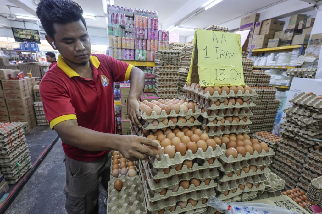 BAru tELUR 4251