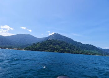 KAWASAN antara Kampung Paya dan Kampung Genting dikatakan menjadi lokasi cadangan pembinaan lapangan terbang komersial di Pulau Tioman di Rompin, Pahang.