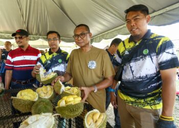 MOHAMAD Zabawi Abdul Ghani (dua dari kanan) menunjukkan buah durian dari pokok yang ditanam di Duriotourism MARDI Kuala Kangsar hari ini. - UTUSAN/MUHAMAD NAZREEN SYAH MUSTHAFA