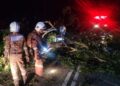 ANGGOTA bomba mengalihkan pokok yang tumbang hingga menyebabkan seorang warga Pakistan maut di Kampung Penat , Mukah.