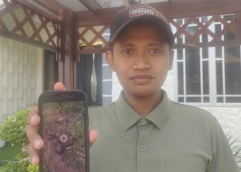 Tengkorak manusia