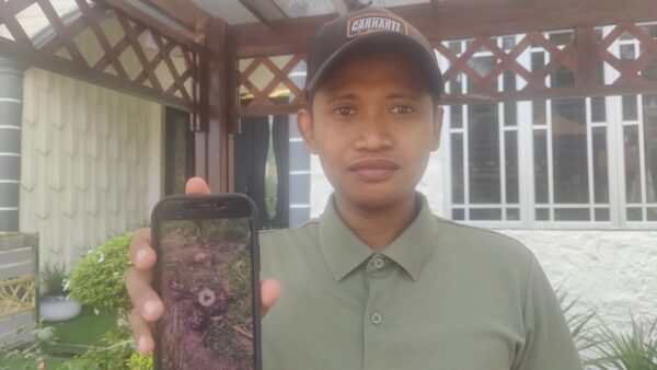 Tengkorak manusia