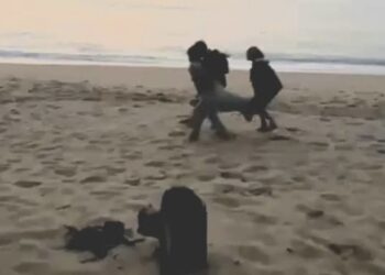 TANGKAP layar menunjukkan tiga lelaki mengangkat seekor penyu untuk dipaksa bertelur di Pantai Cherating dekat Pusat Konservasi dan Penerangan Penyu Cherating di Kuantan, Pahang.