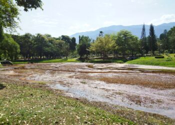 KEADAAN sebuah tasik di Taman Tasik Taiping yang surut berikutan cuaca panas. – UTUSAN/FADZIL ZAINOL