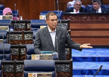 Datuk Seri Saifuddin Nasution Ismail