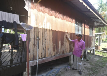 ABD. Hadi Othman menunjukkan dinding chalet miliknya yang dimakan anai-anai dan perlu dibaik pulih di Kampung Salang, Pulau Tioman, Pahang. – UTUSAN/SHAIKH AHMAD RAZIF