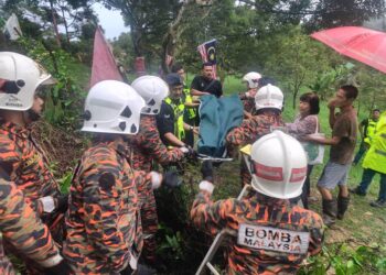 ANGGOTA bomba membawa keluar mayat lelaki warga emas yang maut ditimpa dahan pokok di kawasan ladang durian di Pengkalan Hulu. - UTUSAN