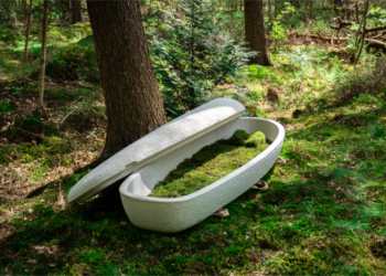 KERANDA Living Cocoon diperbuat daripada bahan semula jadi yang mudah terurai dan boleh mereput sepenuhnya dalam masa 45 hari. 
– AGENSI