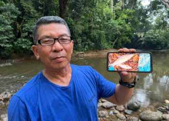 SEORANG penduduk menunjukkan bangkai ikan kelah yang ditemukan di Sungai Ketil dekat Taman Rekreasi Rimba Wangi, Gua Musang, Kelantan. – UTUSAN/AIMUNI TUAN LAH