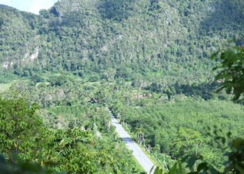 PEMANDANGAN dari atas laluan di Wang Kelian, Perlis yang sebelum  ini rancak kini sunyi selepas zon aliran bebas ditutup pada 2015. – UTUSAN/IZLIZAN OTHMAN