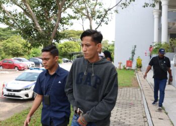 Seorang petani mengaku tidak bersalah atas pertuduhan membuat komen jelik di laman sosial Februari lalu.