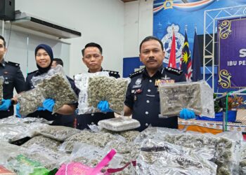MOHD. Yusoff Mamat (kanan) bersama pegawai menunjukkan ketulan ganja yang dirampas selepas menahan sepasang suami isteri di Kuala Krai semasa sidang media di Ibu Pejabat Polis Kontinjen (IPK) Kelantan, Kota Bharu, Kelantan hari ini-UTUSAN/YATIMIN ABDULLAH.