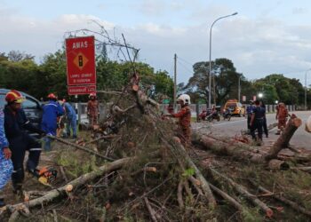 BEBERAPA anggota bomba serta agensi penyelamat lain bertungkus-lumus untuk mengalihkan sebatang pokok besar yang tumbang sehingga menghempap sebuah motosikal dan MPV berhampiran kem TUDM di Jalan Teluk Air Tawar, Butterworth, Pulau Pinang.-GAMBAR/JBPM PULAU PINANG