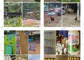 POLIS merampas 470 ekor ayam sabung masih hidup baka dipercayai dari Filipina, 40 bilah pisau taji ayam, 130 kotak mengandung pelbagai vitamin, 50 botol pelbagai vitamin dan 500 unit sangkar, reban ayam sabung.