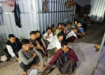 SEBAHAGIAN PATI yang ditahan JIM Kelantan menerusi Op Sapu di tanah tinggi Lojing, Gua Musang, Kelantan.-IHSAN JIM KELANTAN.