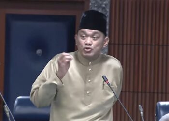 Timbalan Speaker Dewan Rakyat, Datuk Dr. Ramli Mohd. Nor 'menutup' mikrofon Ahli Parlimen Hulu Langat, Mohd. Sany Hamzan selepas ucapan beliau yang mengkritik pembangkang tersasar daripada topik soalan asal.