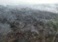 Kebakaran hutan di Mukah yang merebak seluas 75.32 hektar.