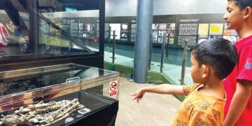 PENGUNJUNG melihat rangka Perak Man yang dipamerkan semula di Muzium Arkeologi Lembah Lenggong sejak awal bulan ini setelah empat tahun disimpan di Kuala Lumpur kerana kerja-kerja baik pulih muzium di Lenggong, Perak. – UTUSAN/FADZIL ZAINOL
