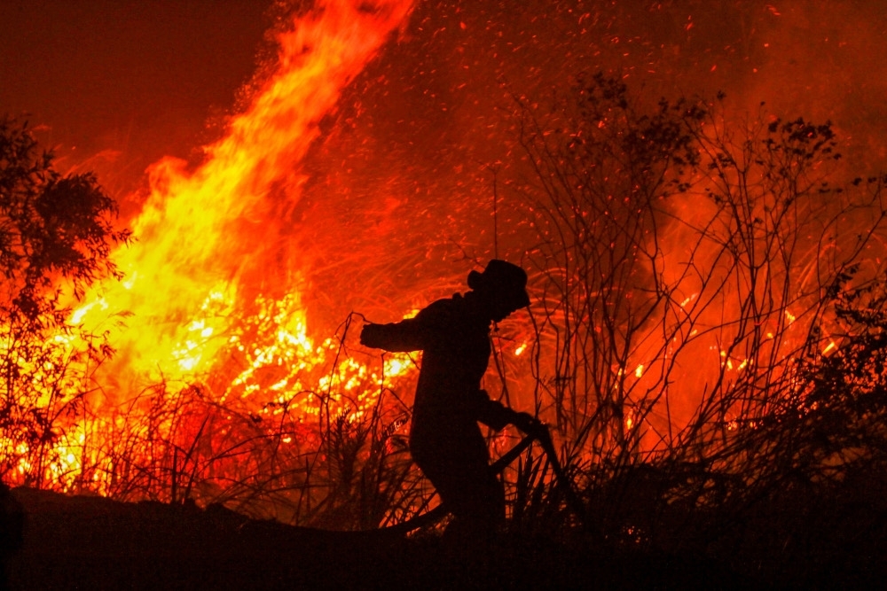 Dua kebakaran hutan di Sumatera musnahkan 46 hektar kawasan