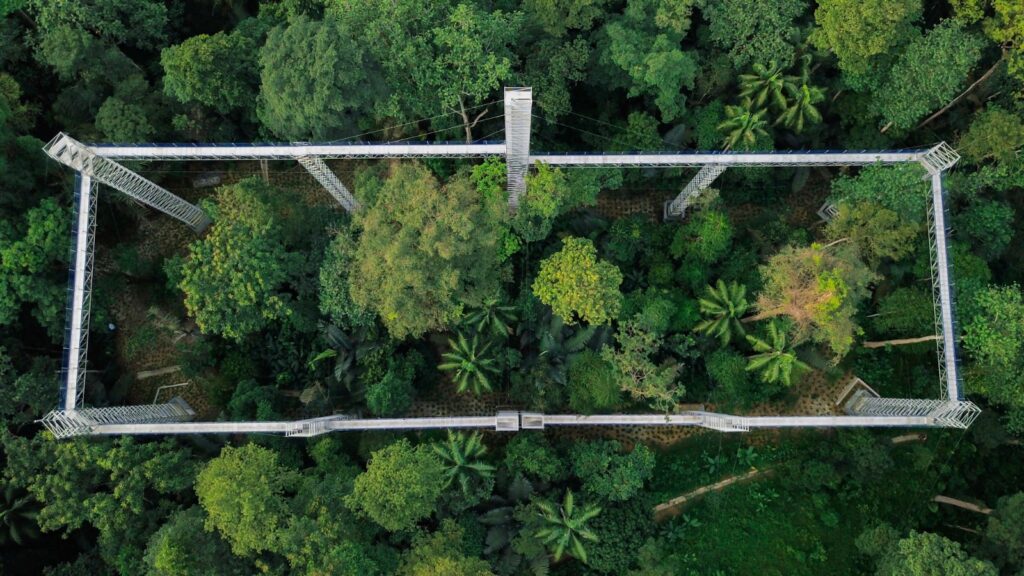 FRIM Taman Hutan Selangor disenarai Tapak Warisan UNESCO