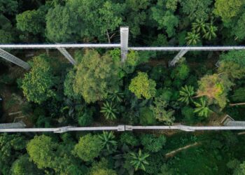 FRIM Taman Hutan Selangor disenarai Tapak Warisan Dunia Unesco semasa Sesi ke-47 Jawatankuasa Warisan Dunia.