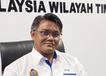 MOHAMAD HALIZAM SAMSURI