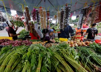 peranan ibu, isteri atau suri rumah bukan hanya mengendalikan urusan rumah tangga tetapi juga menguruskan perbelanjaan dapur dengan cekap. – GAMBAR HIASAN