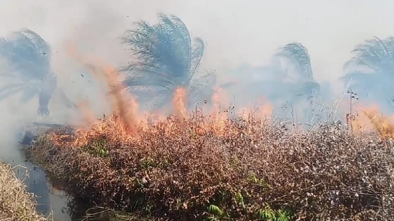 Jerebu akibat kebakaran hutan Riau jejaskan Malaysia