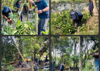 OPERASI memusnahkan pokok ketum di Jalan Tanjung Rambutan dan Kampung Nalla, Tronoh semalam.