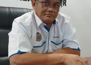 MOHAMAD HALIZAM SAMSURI