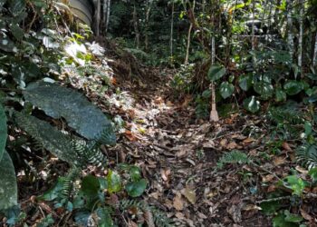 LOKASI mayat seorang bayi lelaki dipercayai baru lahir ditanam berhampiran tangki air di Kampung Melayu Desa Kayangan, Brinchang dekat Cameron Highlands, Pahang. - IHSAN PDRM