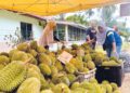 ZAKIAH Zakaria (kanan) bersama anaknya, Alya Amyra (kiri) di gerai durian mereka ketika ditemui di Kampung Tengkek, Jempol. 
– UTUSAN/NOR SHAFIQAH MOHD GHAZALI