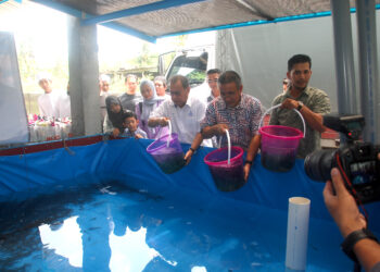 ADLY Zahari (tengah) dan Abdul Fattah Abdullah (kiri) melepaskan benih ikan keli pada Majlis Peluncuran Projek Ternakan Ikan Air Tawar Koperasi Usahawan Alor Gajah di Jalan Kampung Rembia Tengah, Rembia, Melaka. UTUSAN/AMRAN MULUP