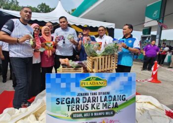 MAJLIS Peluncuran Pemasaran Produk Peladang Bersama Rakan Niaga Petronas yang disempurnakan Pengerusi Jawatankuasa Kemajuan Desa, Pertanian dan Keterjaminan Makanan Melaka, Datuk Dr. Muhamad Akmal Saleh (empat dari kanan) di Semabok, Melaka. - UTUSAN/AMRAN ALI