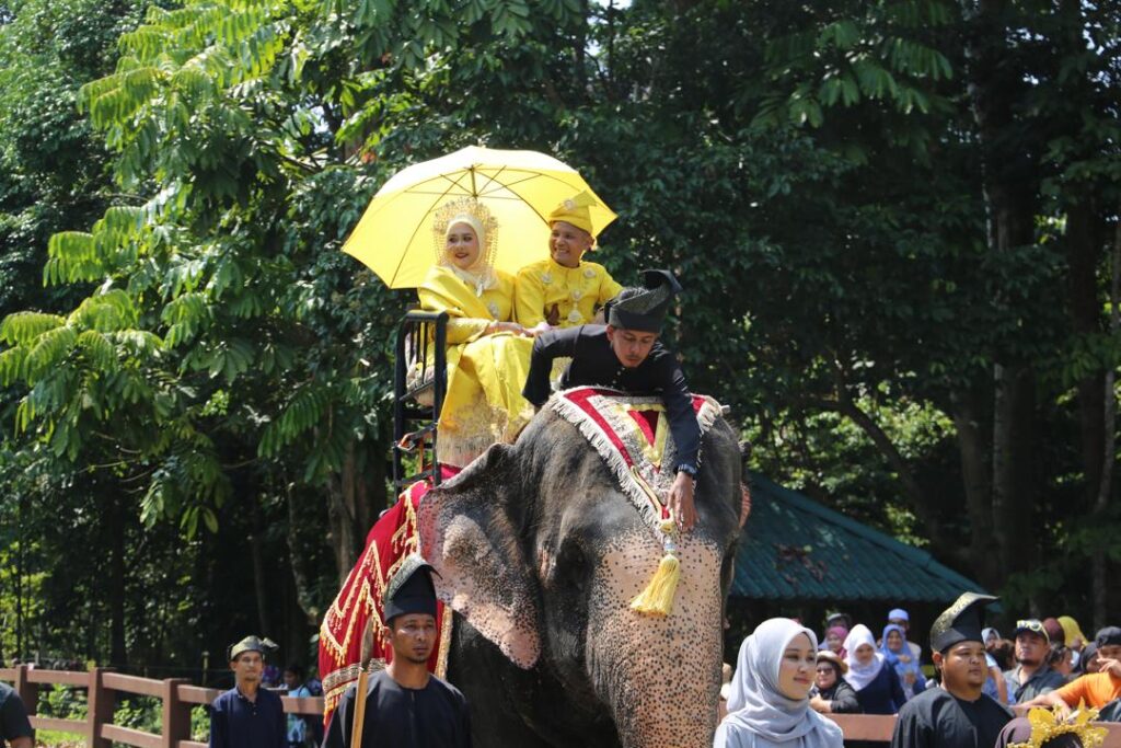 Budaya pengantin diarak dengan gajah kembali meriahkan majlis