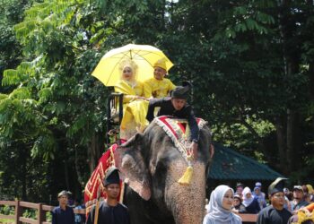 Pasangan mempelai dibawa berarak di atas gajah bernama Abot.