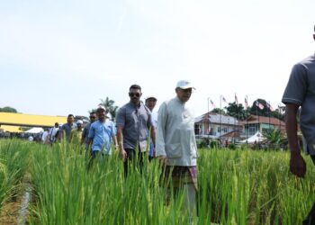 ANWAR Ibrahim (dua kanan) meninjau tanaman padi organik di Desa Gemalai Baruh Padi Alami, Mulong, Kota Bharu, Kelantan. - UTUSAN/KAMARUL BISMI KAMARUZAMAN
