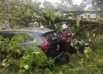 ANGGOTA bomba membantu mengalihkan pokok tumbang yang menghempap dua buah kereta di parkir sebuah kedai makanan di Teluk Bahang, Pulau Pinang, hari ini. GAMBAR/JBPM PULAU PINANG