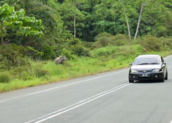 KUKUHKAN perundangan, pemasangan papan tanda mesra alam serta meningkatkan kesedaran pemandu dan menggalakkan tingkah laku jalan raya yang bertanggungjawab.