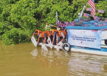 PANG Yukang (kiri) melepaskan benih anak ikan pada Program Pelepasan Benih Ikan ke Perairan Umum di Sungai Nerus, Terengganu. – UTUSAN/ERMA YUSNIDA JUSOH
