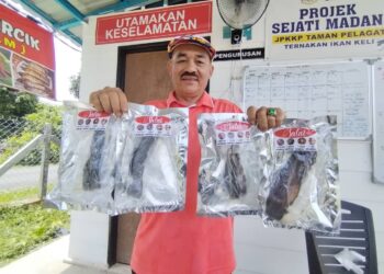 GHAZALI Che Noh menunjukkan produk ikan keli salai dihasilkan melalui Projek Sejati Madani Taman Pelagat, Besut, Terengganu.