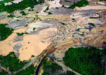 PENEBANGAN hutan di kawasan tropika seperti Amazon, Congo dan Asia Tenggara meningkatkan suhu setempat. - AFP