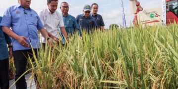 MOHAMAD Sabu (kiri) pada Majlis Pengisytiharan Varieti Padi Baharu MR 333 Menora di Lahar Minyak, Kepala Batas, Pulau Pinang.-UTUSAN/DANIAL SAAD