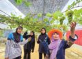 SITI Saloma Saad (kanan) bersama pelajar UiTM Pahang yang menjalani latihan industri di kebunnya di Kampung Darat Jelutong, Batu 7 1/2 Lekir, Lumut. – UTUSAN/AIN SAFRE BIDIN