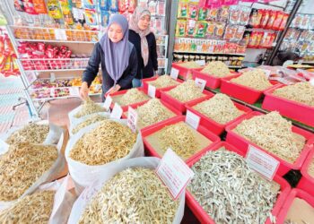WAHIDA Ahmad Yazli menjual ikan bilis mata biru di Lumut, Perak. – UTUSAN/AIN SAFRE BIDIN