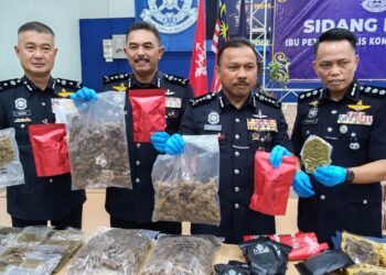 MOHD. Yusoff Mamat (dua kanan) menunjukkan ganja yang dirampas di Kampung But, Ketereh di Ibu Pejabat Polis Kontinjen (IPK) Kelantan, Kota Bharu, Kelantan. – UTUSAN/YATIMIN ABDULLAH