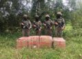 GANJA mampat yang dirampas Angkatan Tentera Darat Malaysia di kawasan Sungai Golok dekat Pasir Mas, Kelantan. IHSAN TDM