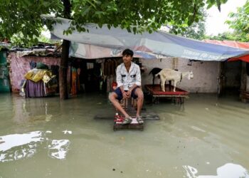 india