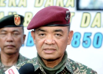 MUHAMMAD HAFIZUDDEAIN JANTAN